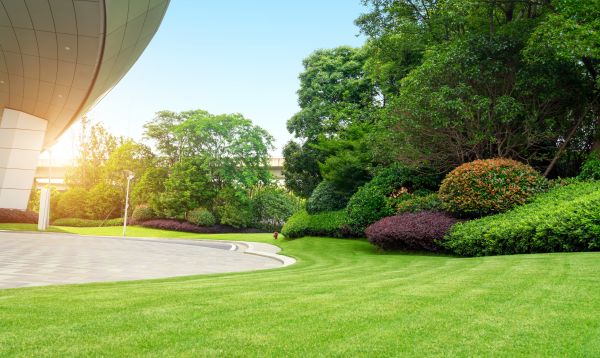 Cost of Commercial Lawn Mowing in Vienna