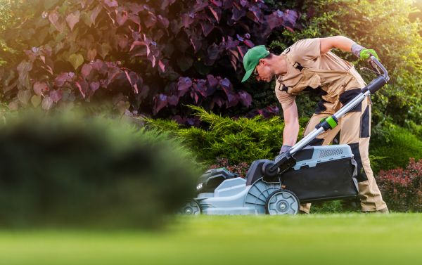 Cost of Lawn Care And Maintenance in Vienna