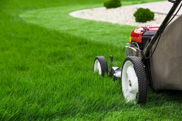 Cost of Mowing Service in Vienna