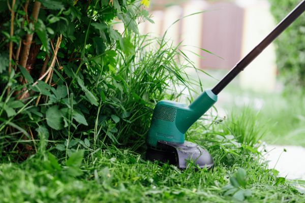 Cost of Weed Whacking in Vienna
