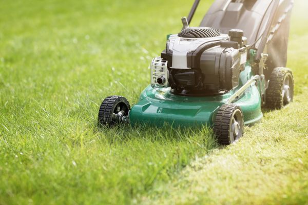 Cost of Yard Cutting in Vienna