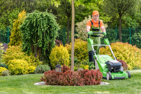 Cost of Yard Service in Vienna