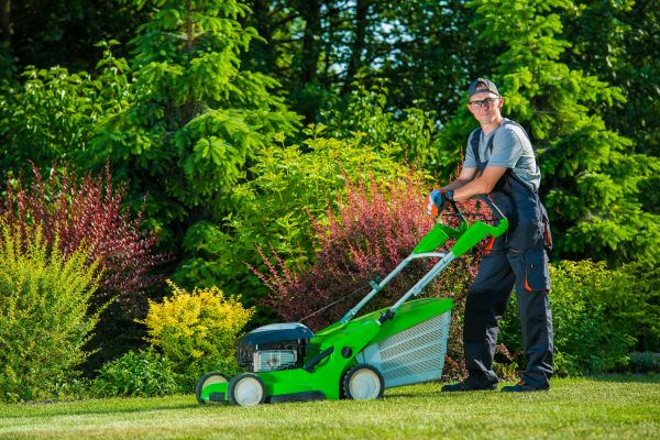 Cost of Yard Work Service in Vienna