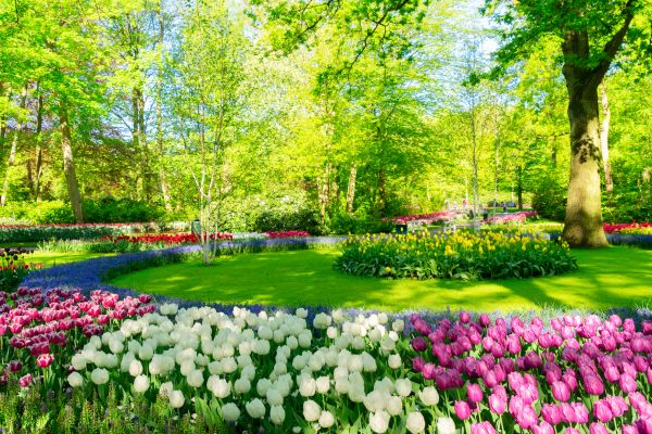 Cost of Spring Lawn Care in Vienna