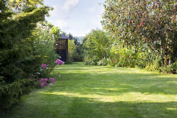 Cost of Yard Upkeep Service in Vienna