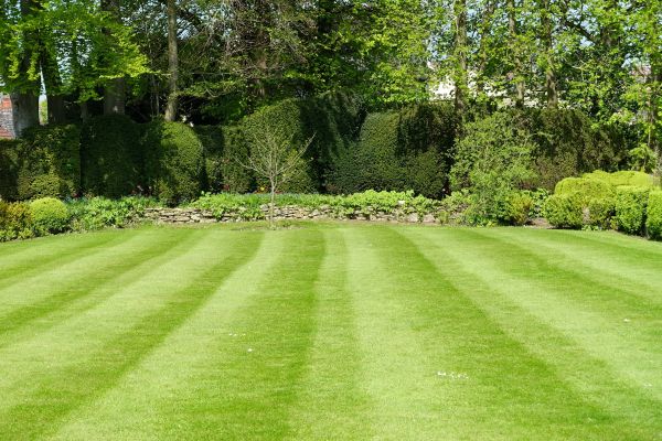 Cost of Grass Care Service in Vienna