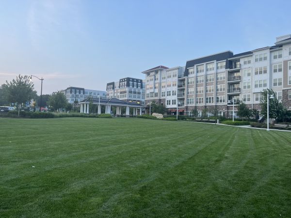 Cost of Urban Lawn Care in Vienna