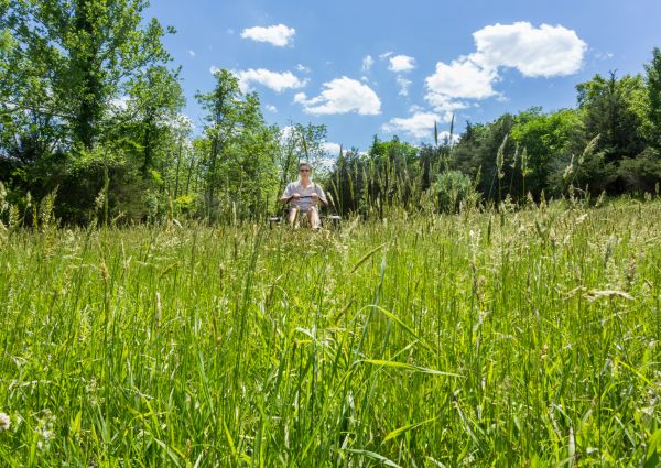 Long Grass Mowing in Vienna