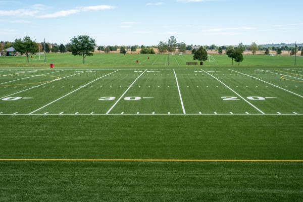 Cost of Groundskeeping Service in Vienna