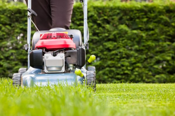 Cost of Grass Trimming Service in Vienna