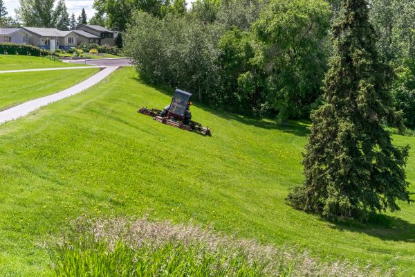 Cost of Hill Mowing in Vienna