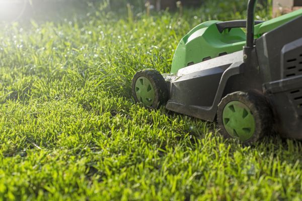 Cost of Residential Lawn Maintenance in Vienna