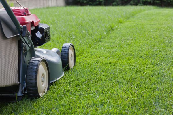 Cost of Spring Lawn Maintenance in Vienna