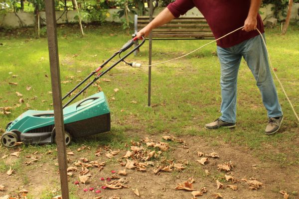 Leaves Mowing in Vienna