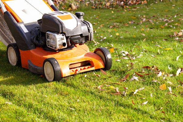 Cost of Fall Mowing in Vienna