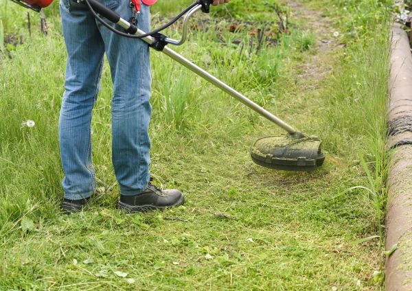 Cost of Tall Grass Trimming in Vienna