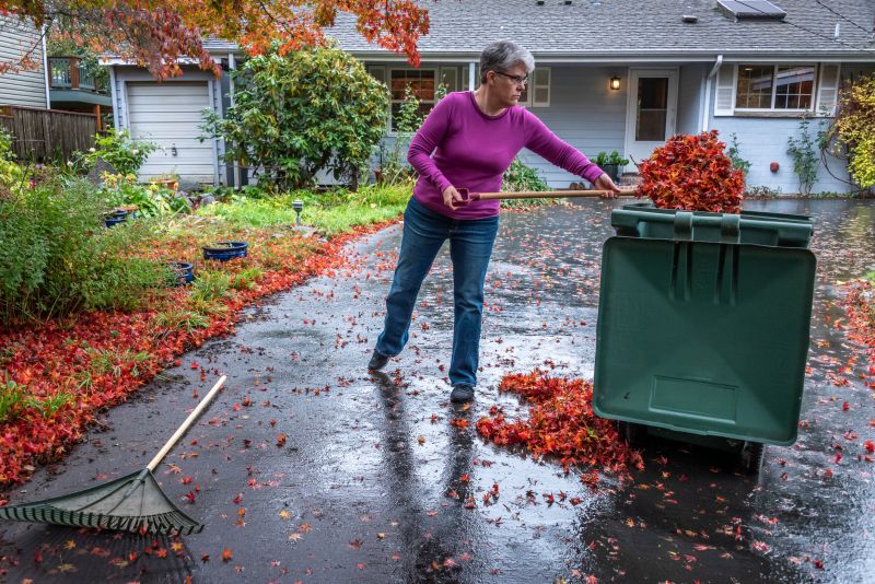 Removing Leaves from a Lawn