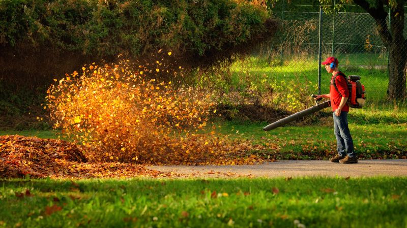 Using Commercial Leaf Blowers