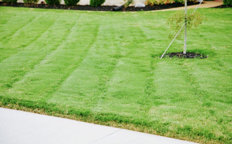 Summer Lawn Maintenance